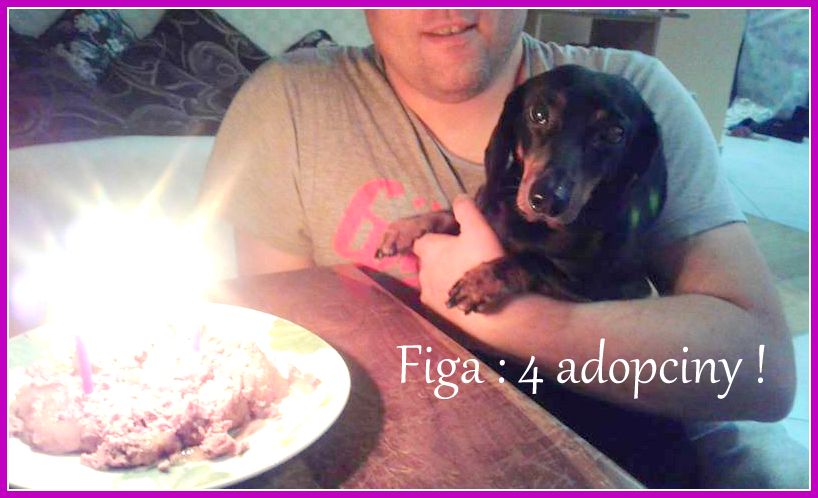 adopciny figi 4