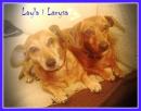 Layla i Larysa